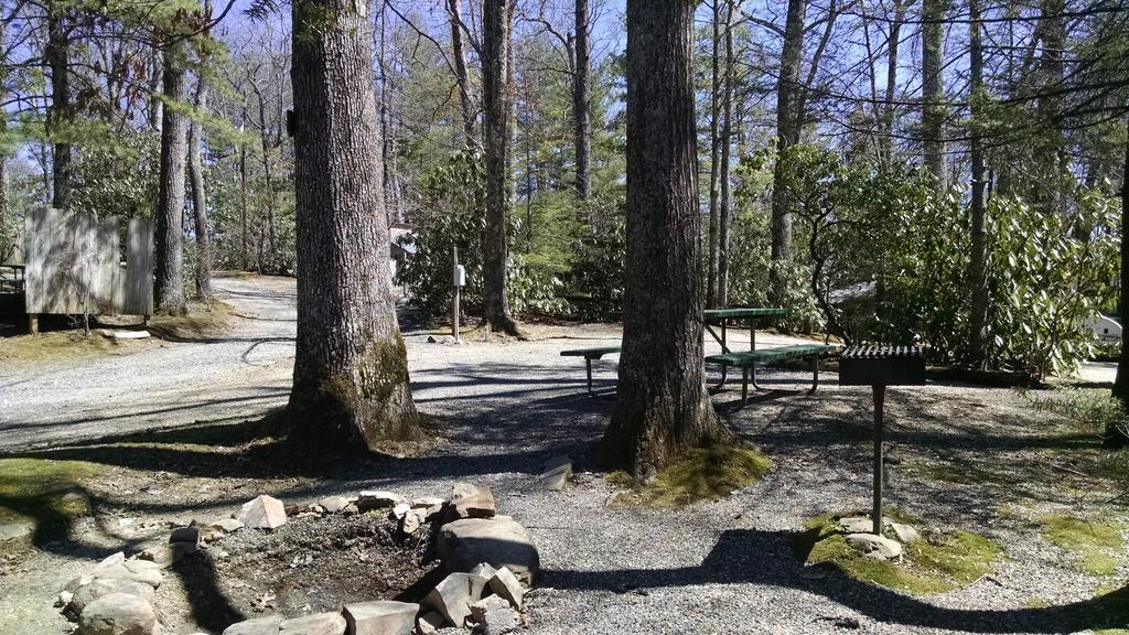 Linville Falls Campground, Rv Park, And Cabins מראה חיצוני תמונה